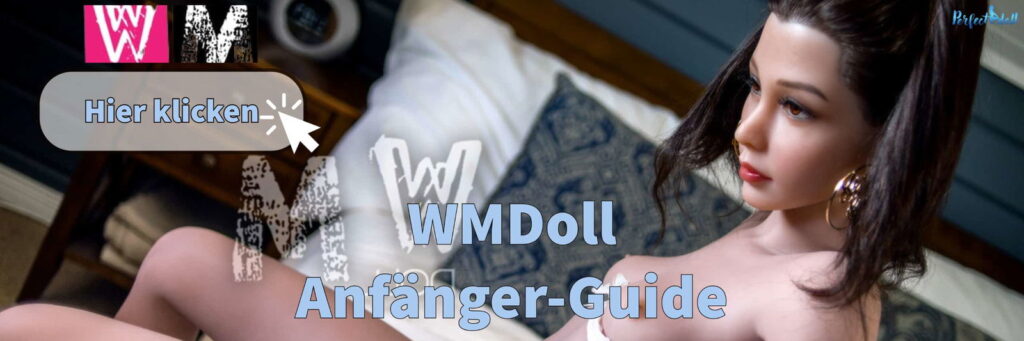 wm doll anfaenger guide
